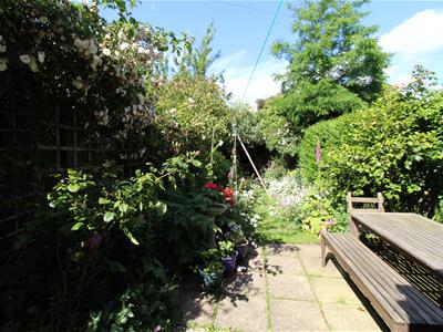 Picture 19